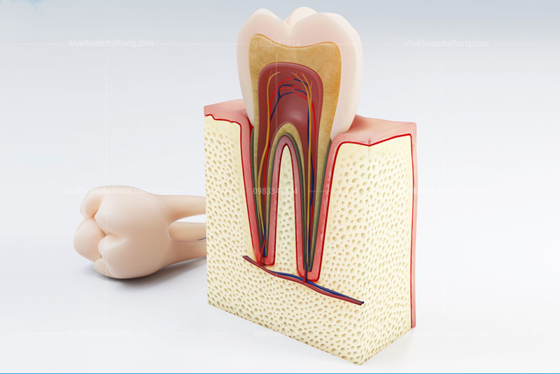 điều trị tủy răng